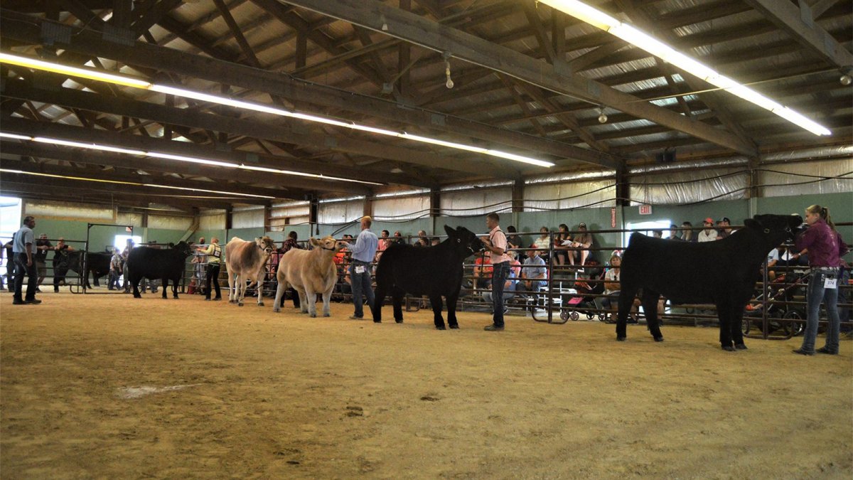 La Crosse Interstate Fair