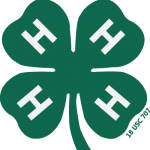 4-H Clover